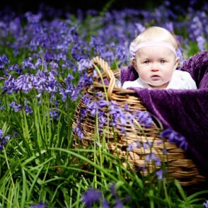 Bluebell Portraits by Family Portrait Photographer Surrey