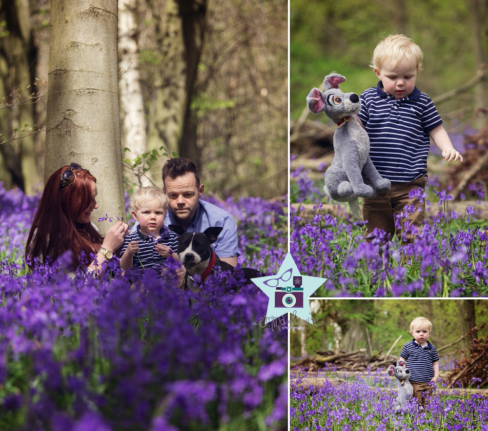 Family Photography in the bluebells Orpington Kent