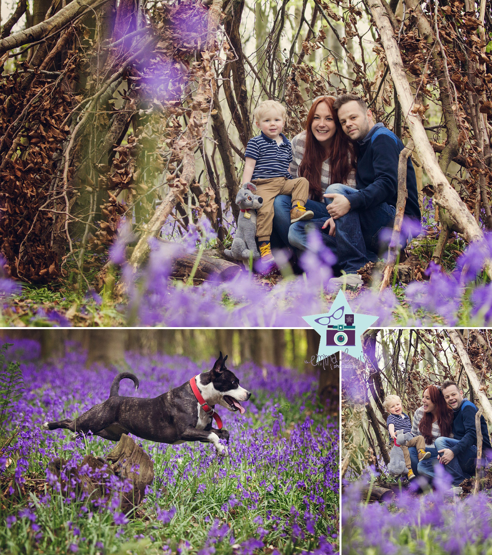 Family poses for professional portraits in the bluebells near Polhill Badgers Mount