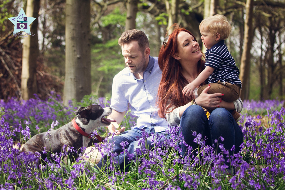 Family Portrait in the bluebells Orpington