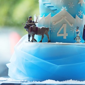 Frozen Themed Party Photography - Fulham Palace London